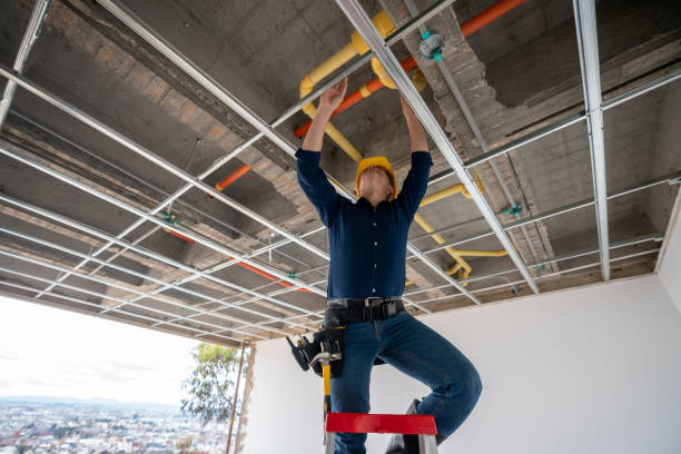 Best Plumbing Inspection Services  in Hardeeville, SC